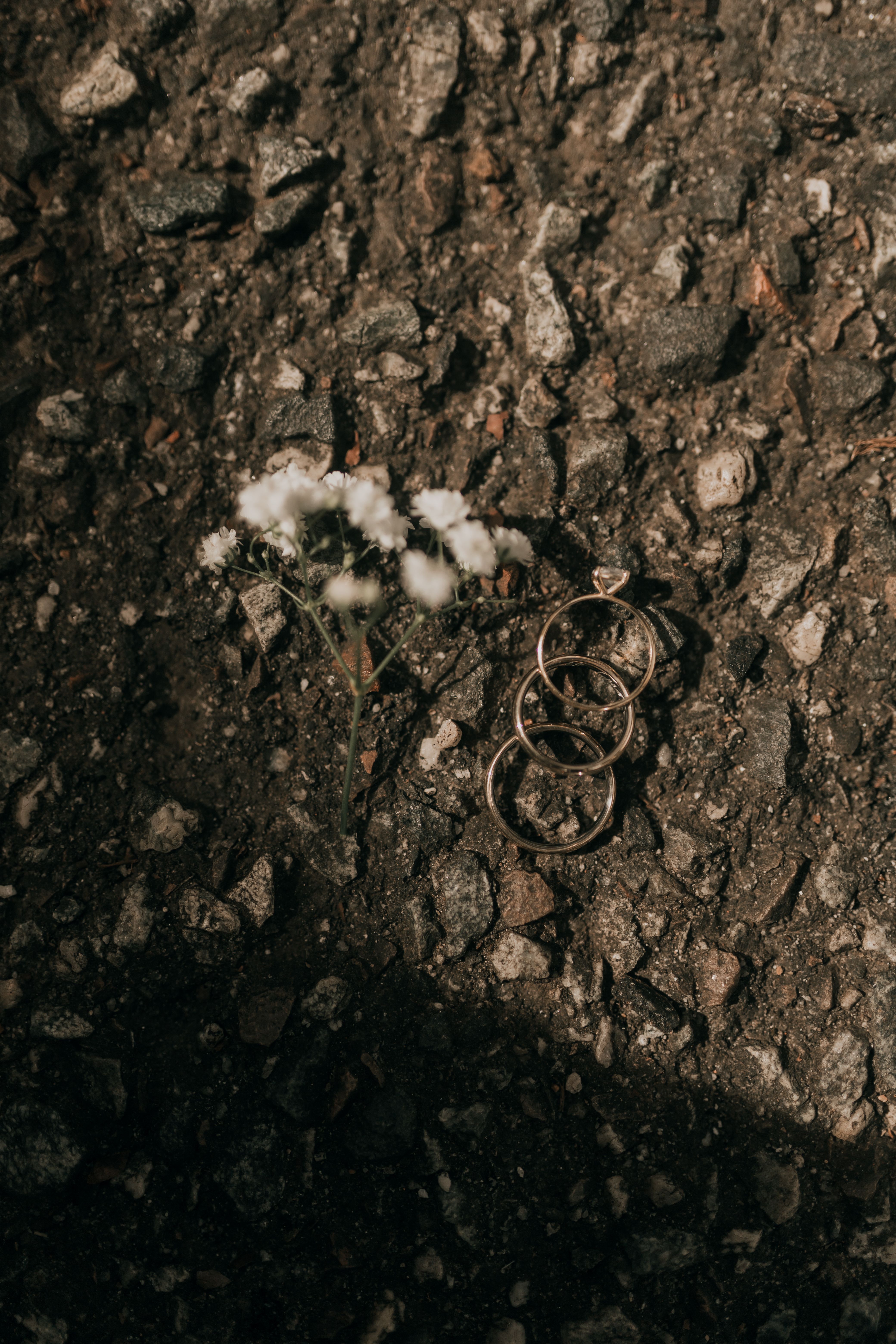 Elegant Rings on Rustic Surface with Flowers · Free Stock Photo