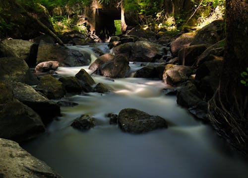 Free Stream Flowing Through Rocks in Forest Stock Photo
