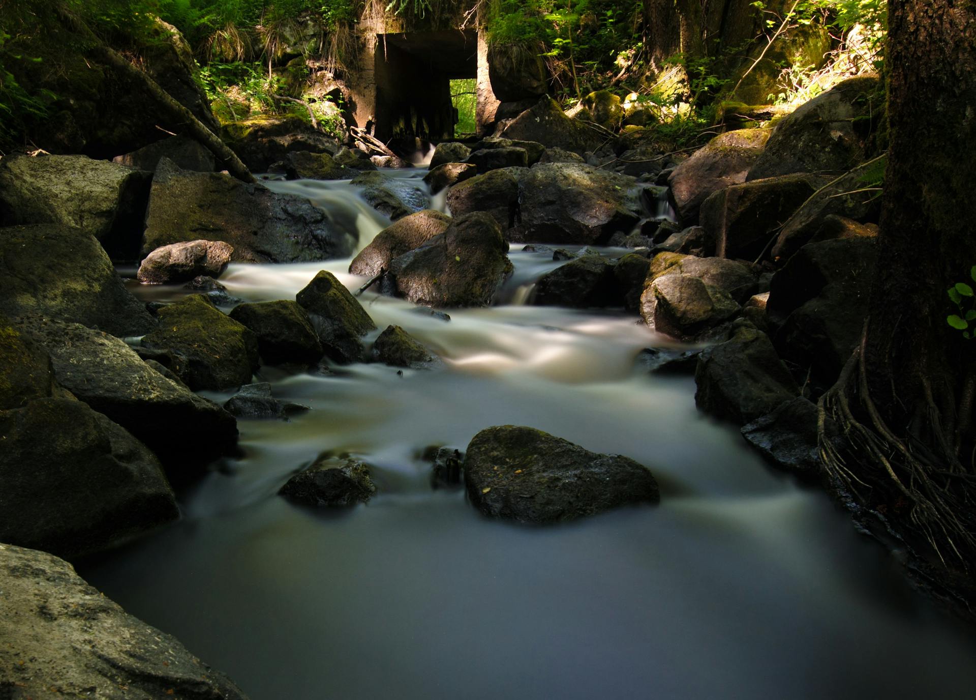 Peaceful forest stream flowing over rocks with lush green surroundings, ideal for nature themes.