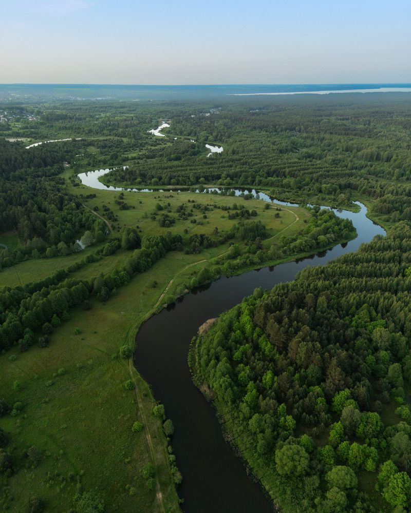 An aerial view of a river winding through forest.