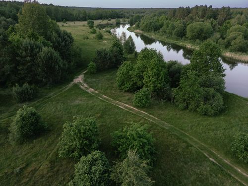 Free A tranquil aerial shot of a green landscape with a winding river, surrounded by trees. Stock Photo