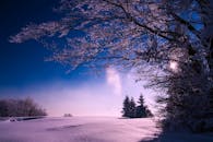 黄昏时分，霜冻的树木和宁静的白雪皑皑的草地，构成了一幅迷人的冬季景观