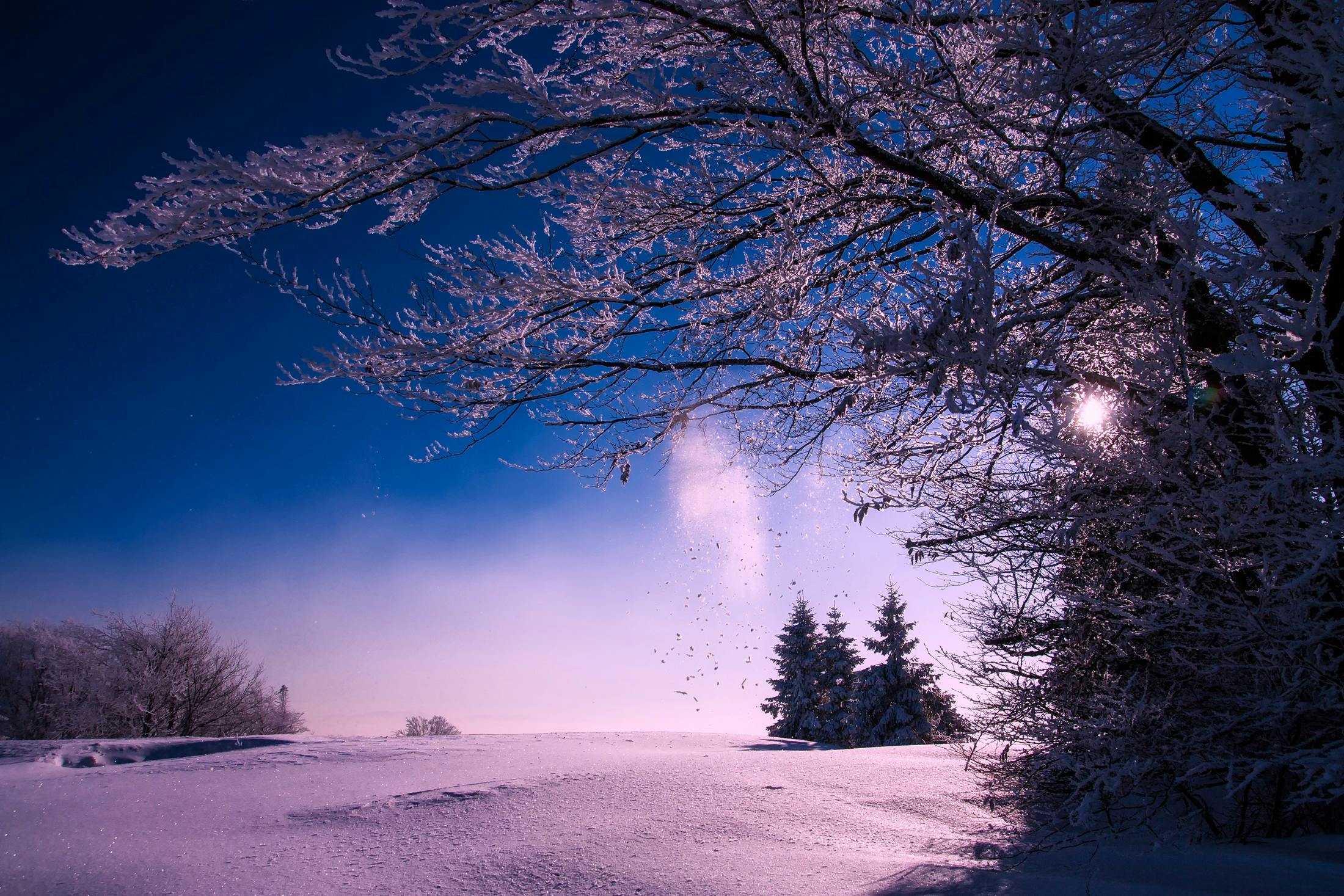snow night photography