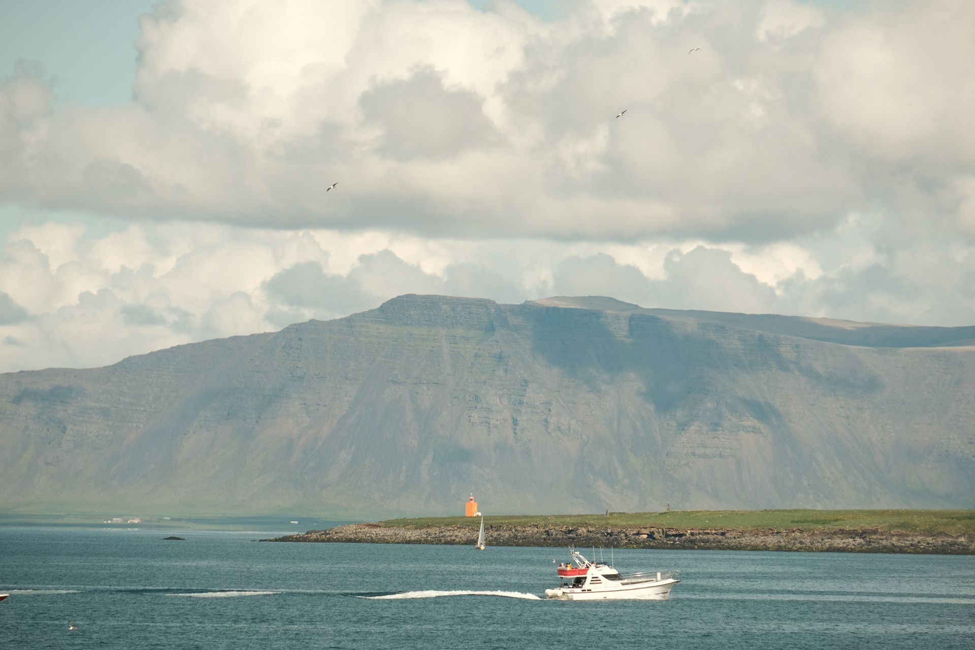 Reykjavik limanında demirli balıkçı tekneleri