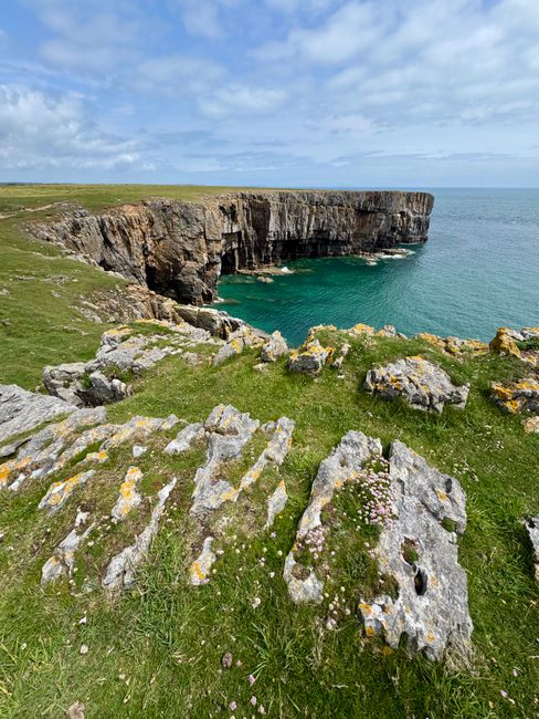 12. Chatham Islands: Remote and Rugged Beauty 12. Chatham Islands: Remote and Rugged Beauty