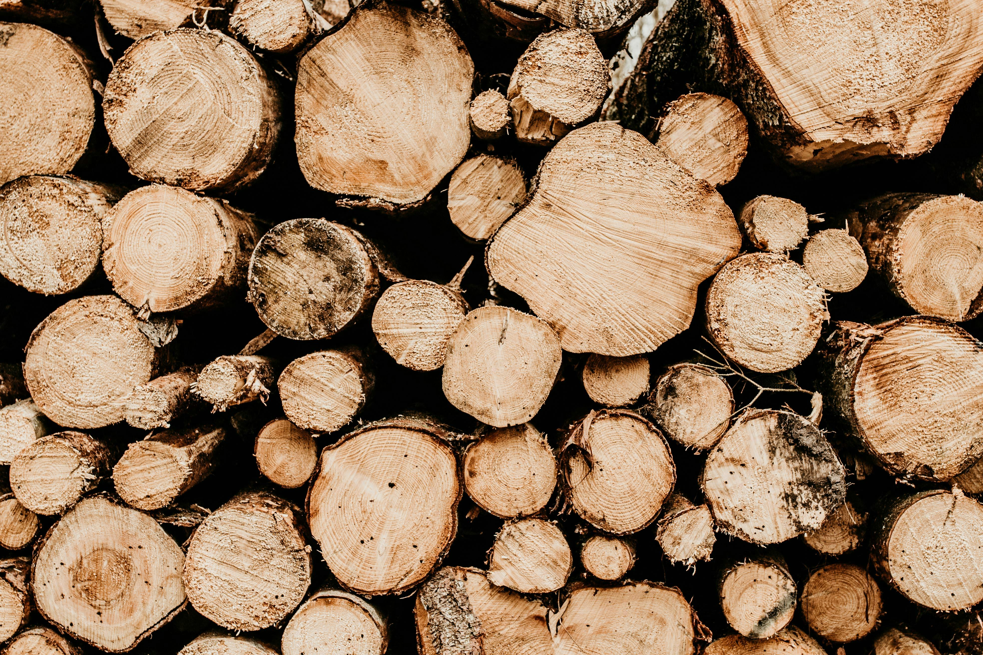 process optimization resource allocation — Photo by Abrek Okur on Pexels