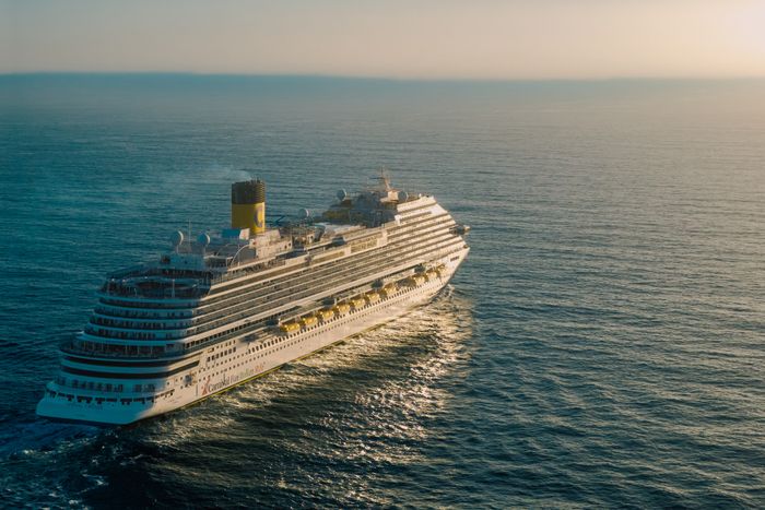 Cruise