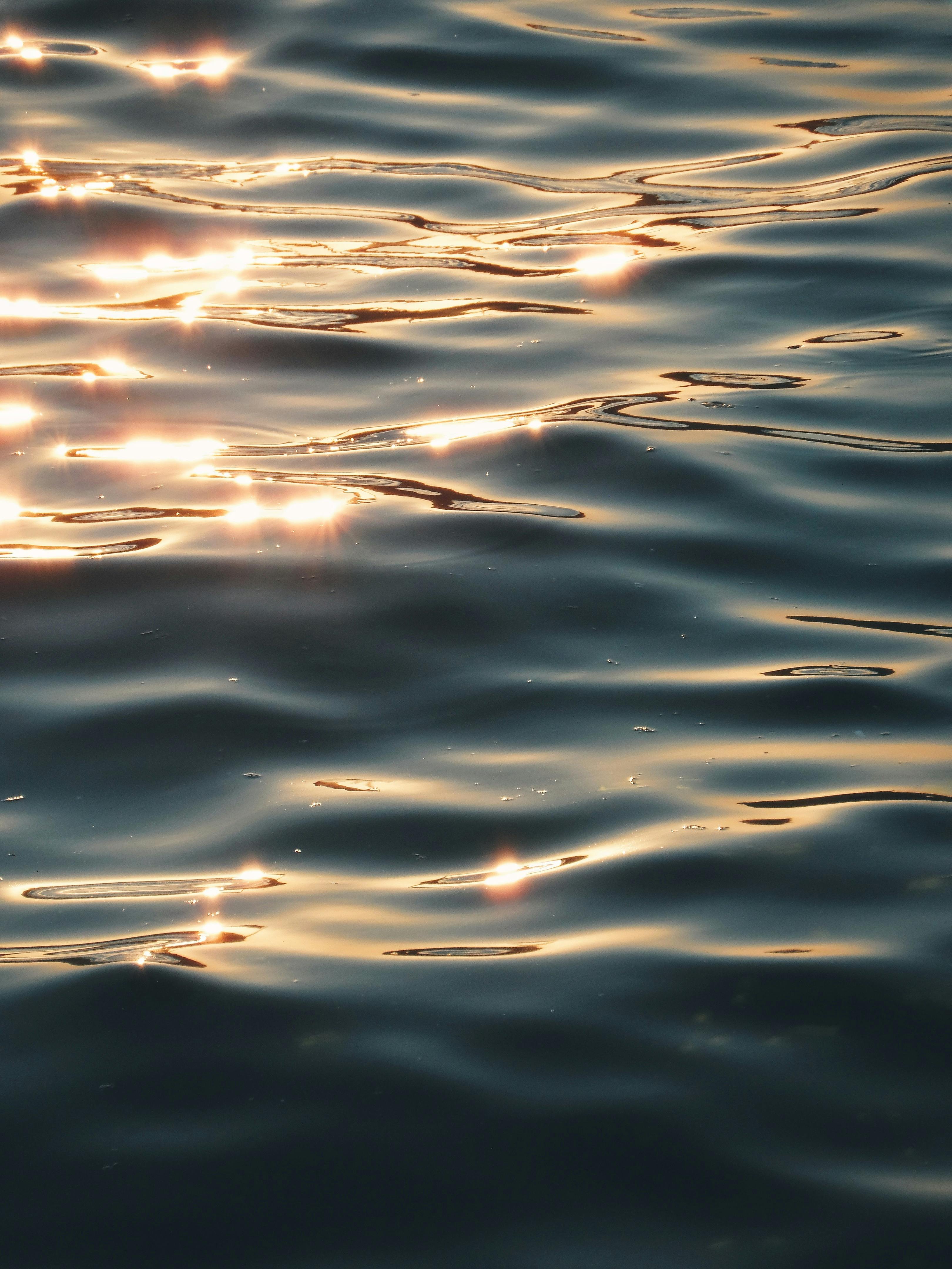 Ripples Photos, Download The BEST Free Ripples Stock Photos & HD Images