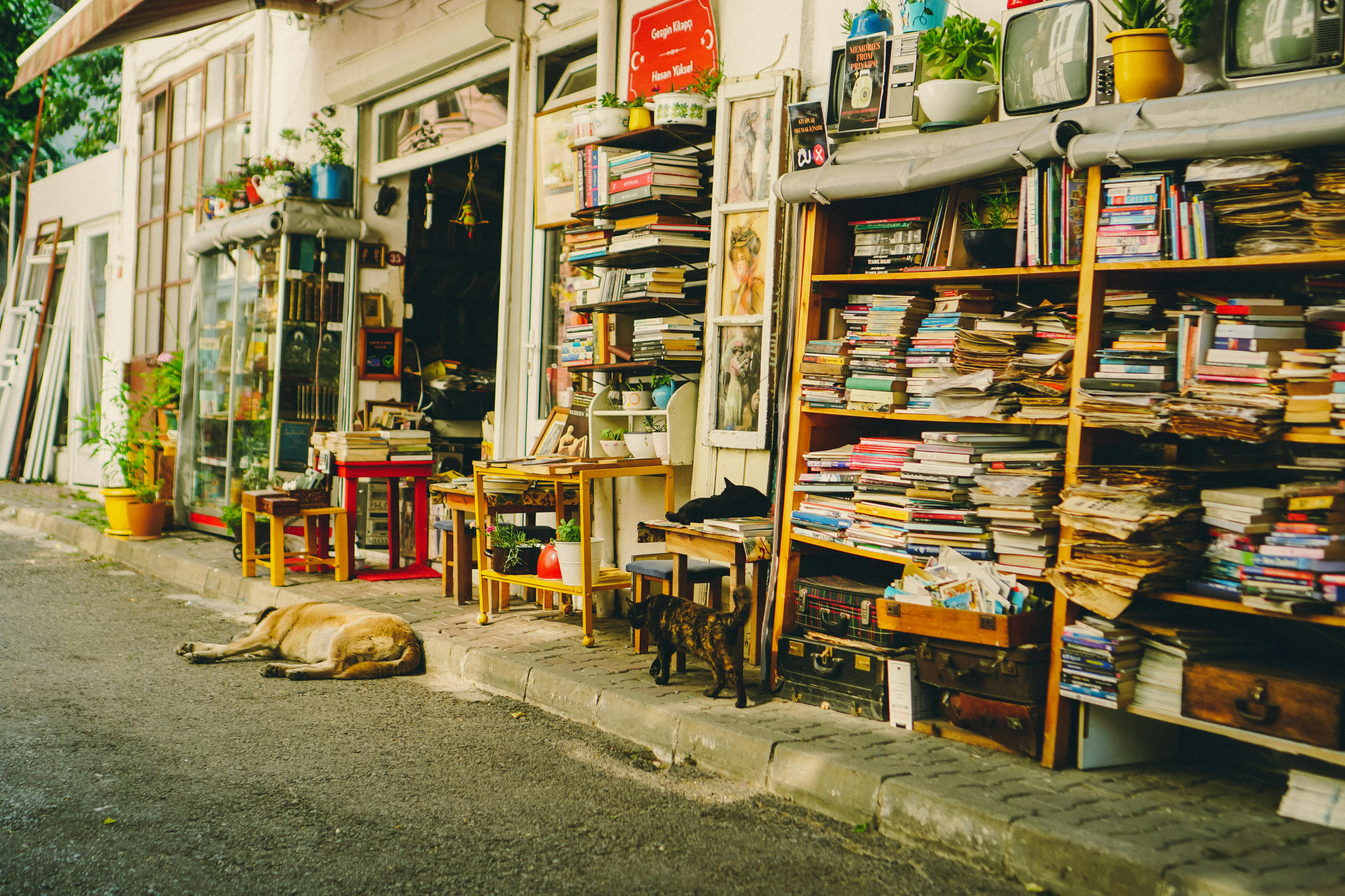 Unlocking Forbidden Knowledge in Hidden Libraries