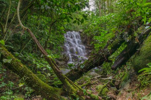 Free A picturesque waterfall amidst the lush, green jungle of Costa Rica, showcasing natural beauty. Stock Photo