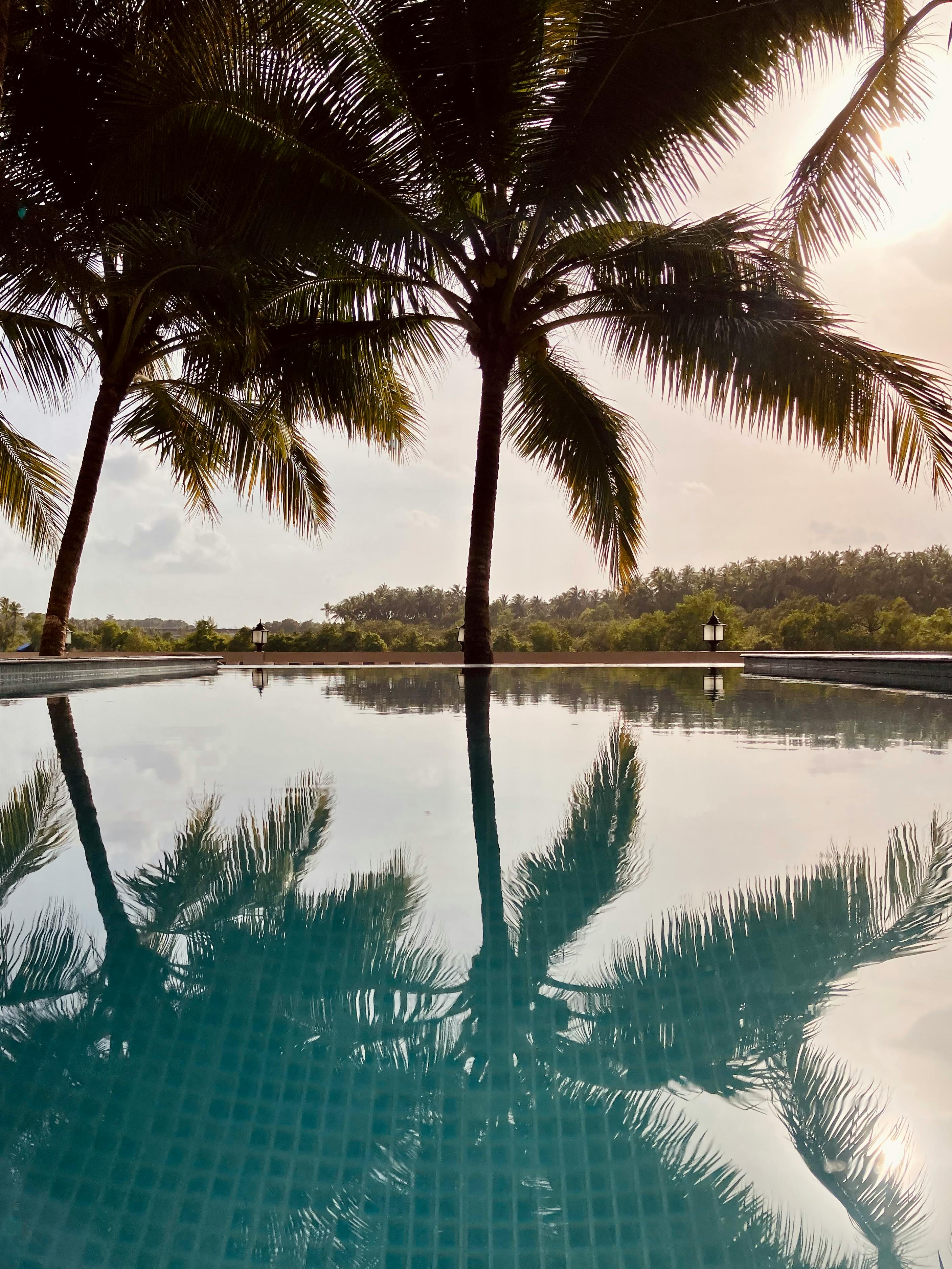 Peaceful tropical poolside with palm trees in Goa, India, reflecting beautiful nature.