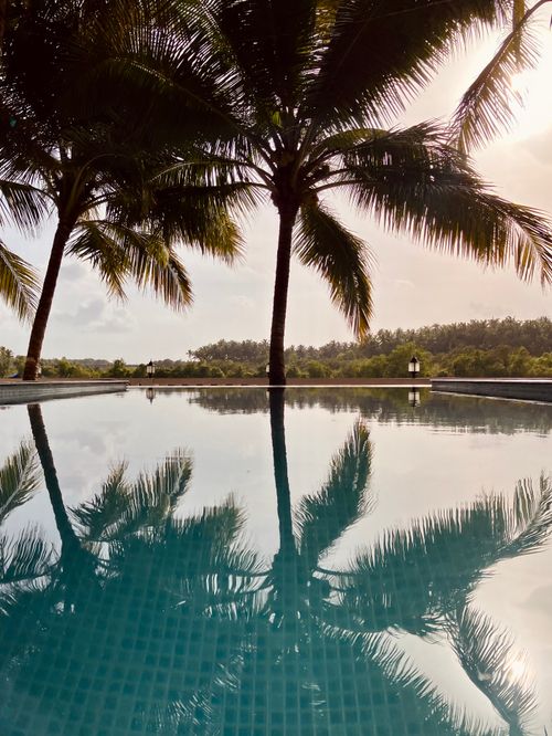 Free Peaceful tropical poolside with palm trees in Goa, India, reflecting beautiful nature. Stock Photo
