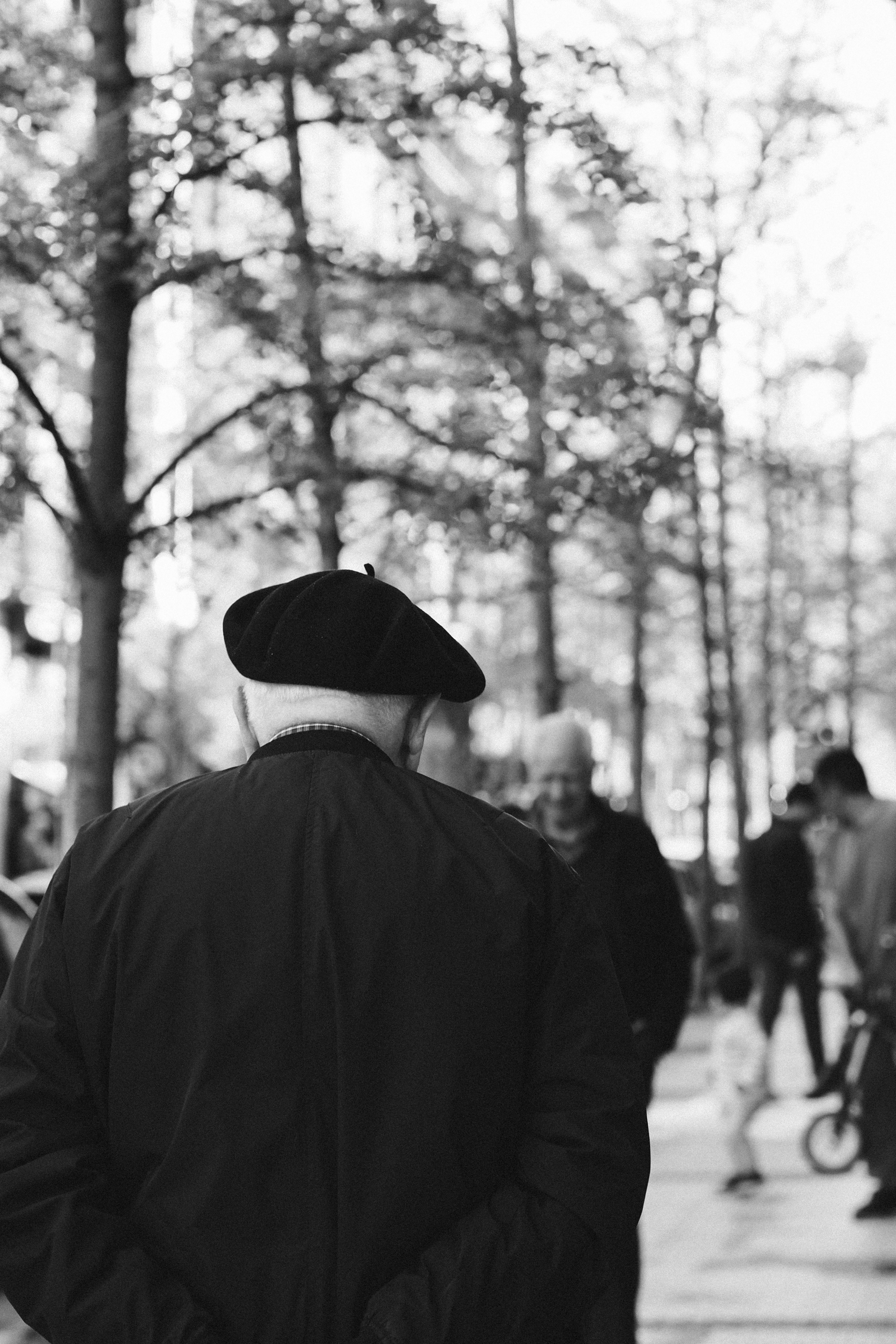A serene black and white photo of a man in a beret strolling through a tree-lined path in France.