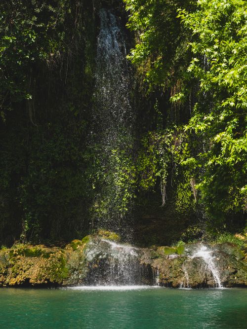 Free A tranquil waterfall cascades into a clear pool surrounded by lush greenery, captured on a sunny summer day. Stock Photo