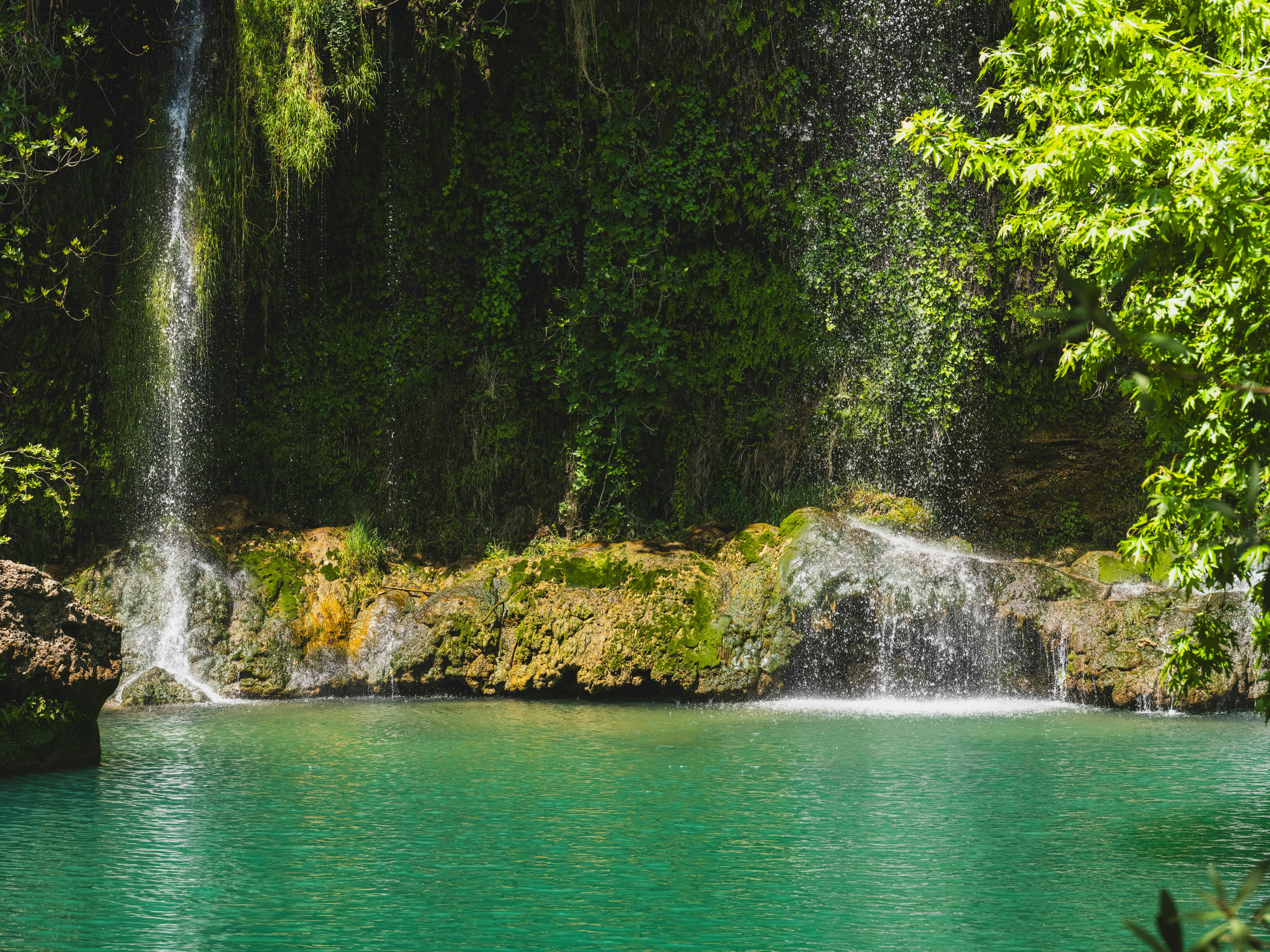 Eco-Conscious Travel: Embrace Sustainable Living While Exploring Breathtaking Forests