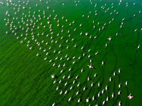 Photo by Mahmut Yılmaz