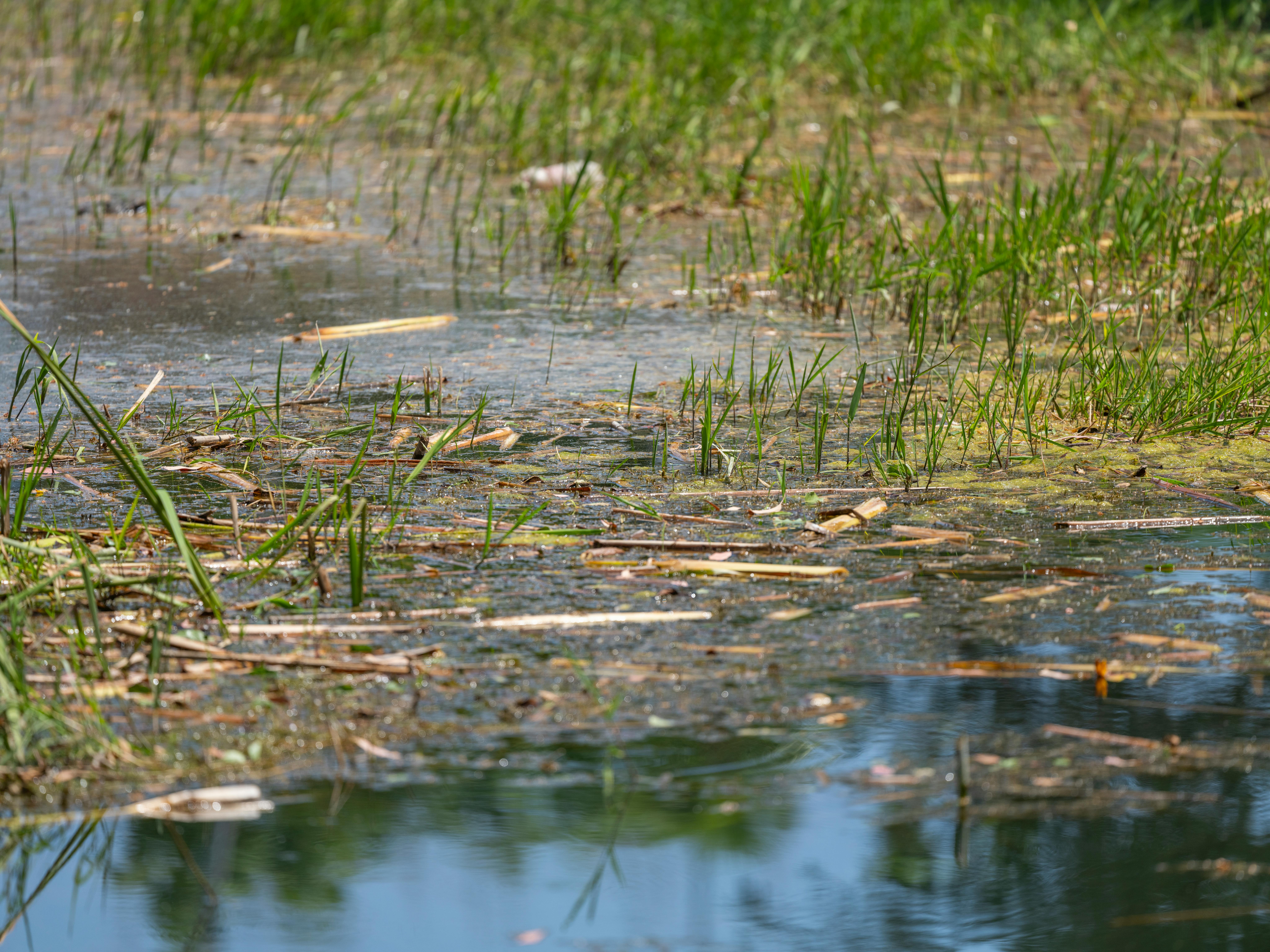 Innovative Sustainable Solutions for Managing Water Scarcity