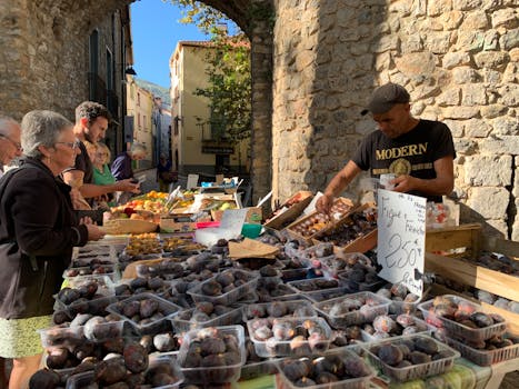 Pyrénées-Orientales