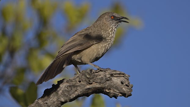 Windhoek, Namibia photo 5