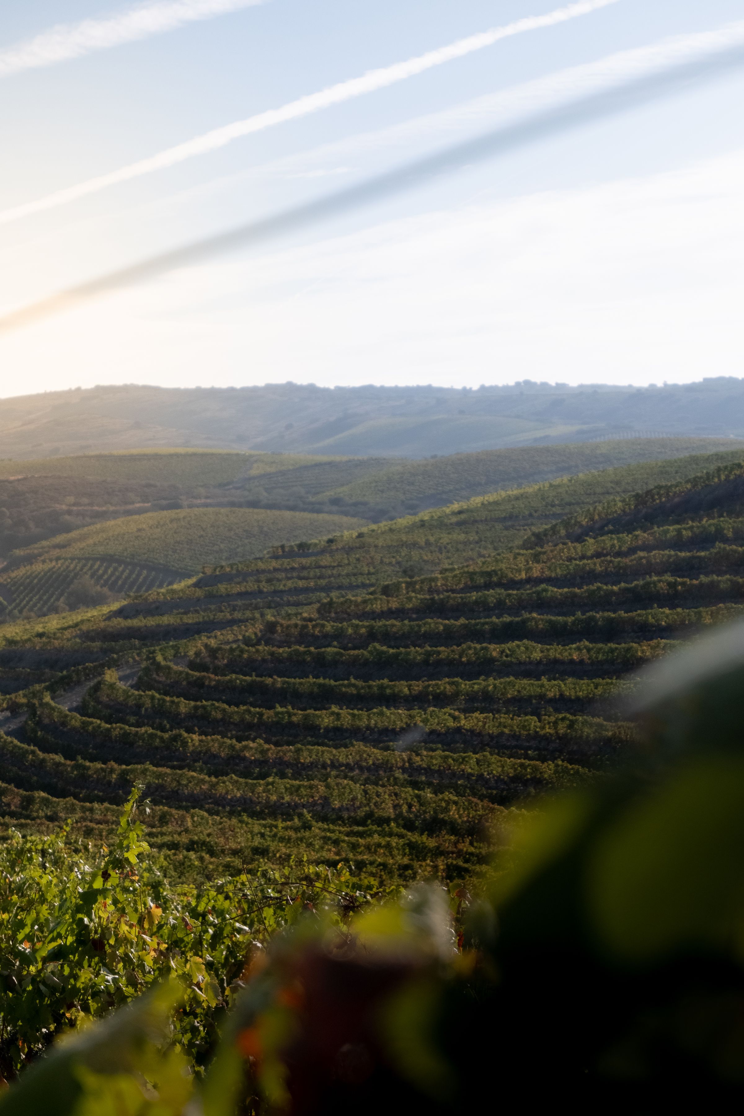 Douro Valley at sunrise