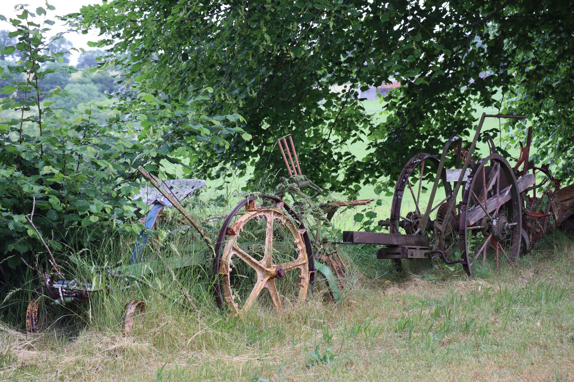 Rusty vintage farm equipment partially hidden under a tree in a grassy field.