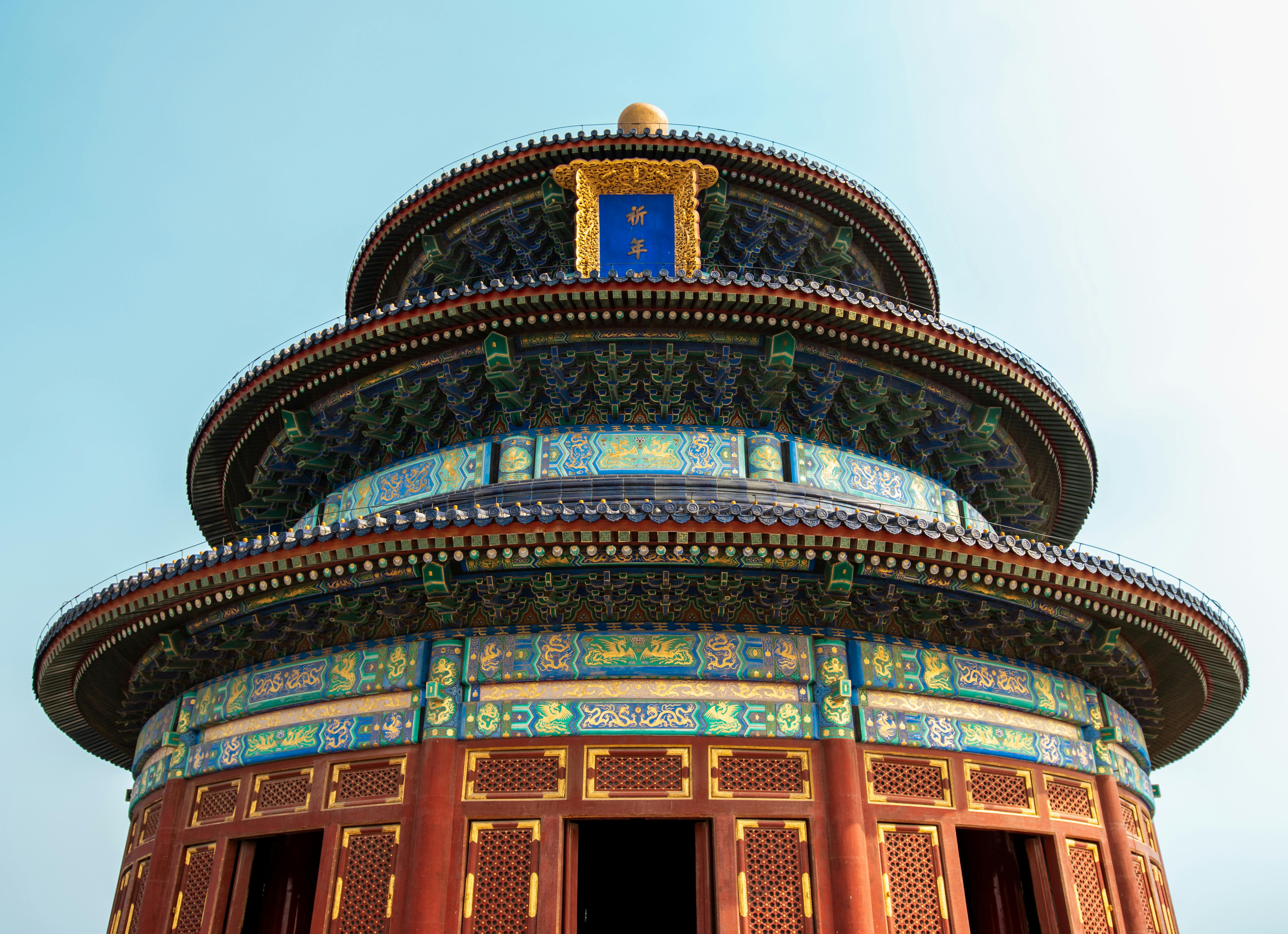 beijing pet technology — Photo by Hao Chen on Pexels