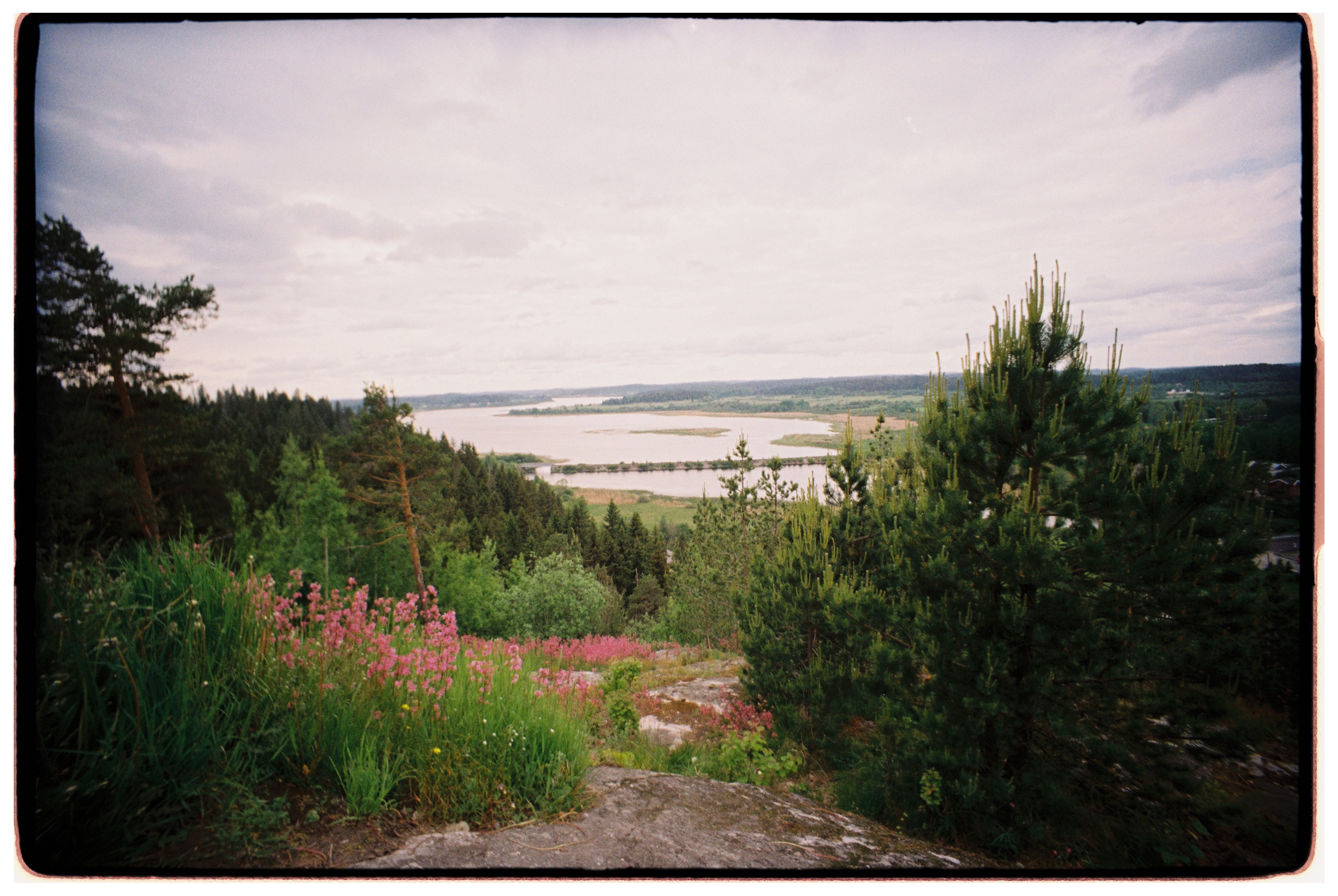 Captivating view of lush greenery and a serene lake from a hilltop vantage point.