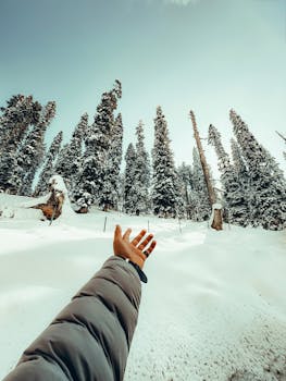 A hand reaching towards snow-covered trees in a winter forest scene, creating a sense of adventure.