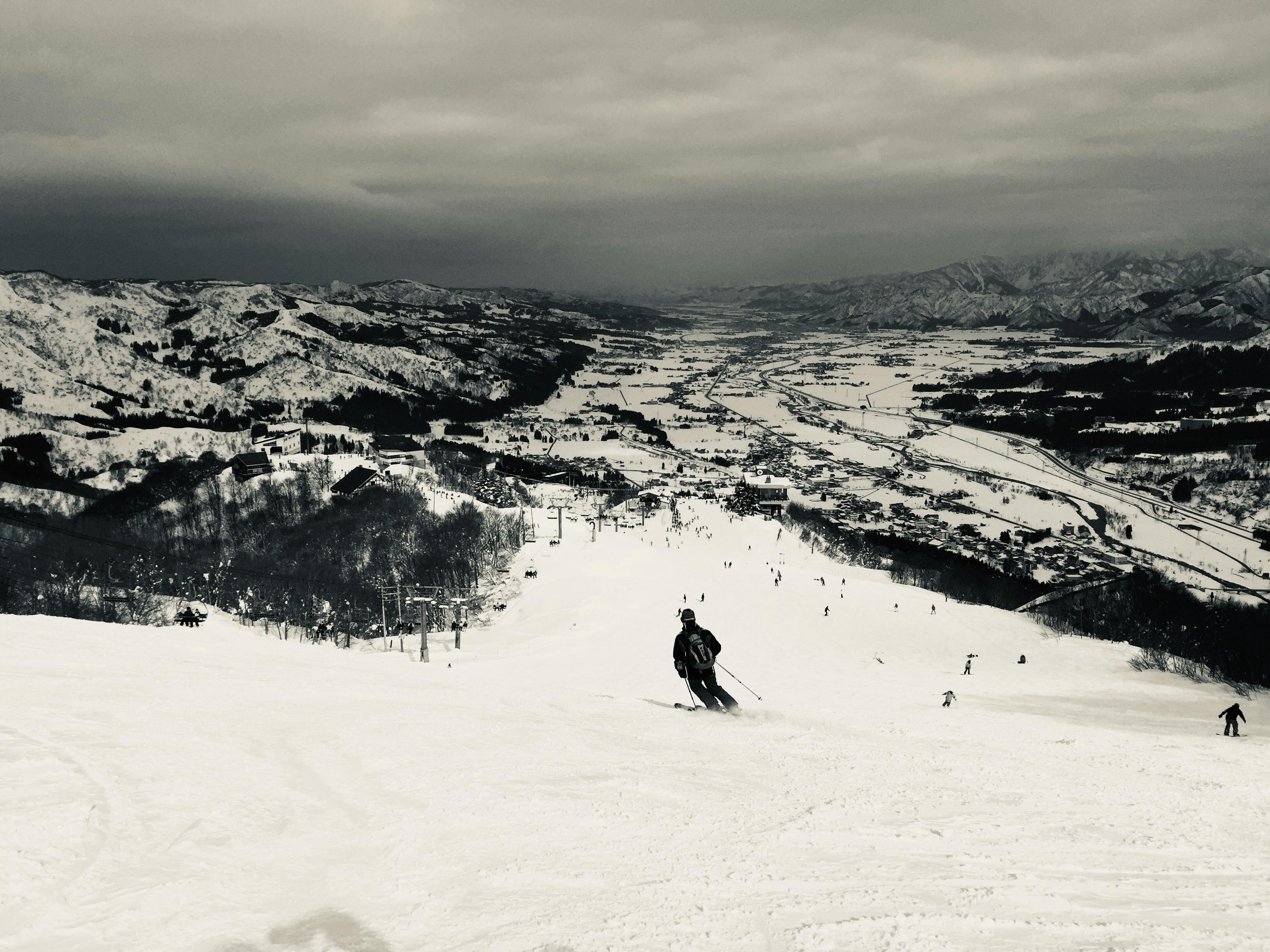 Person holding a green leaf
