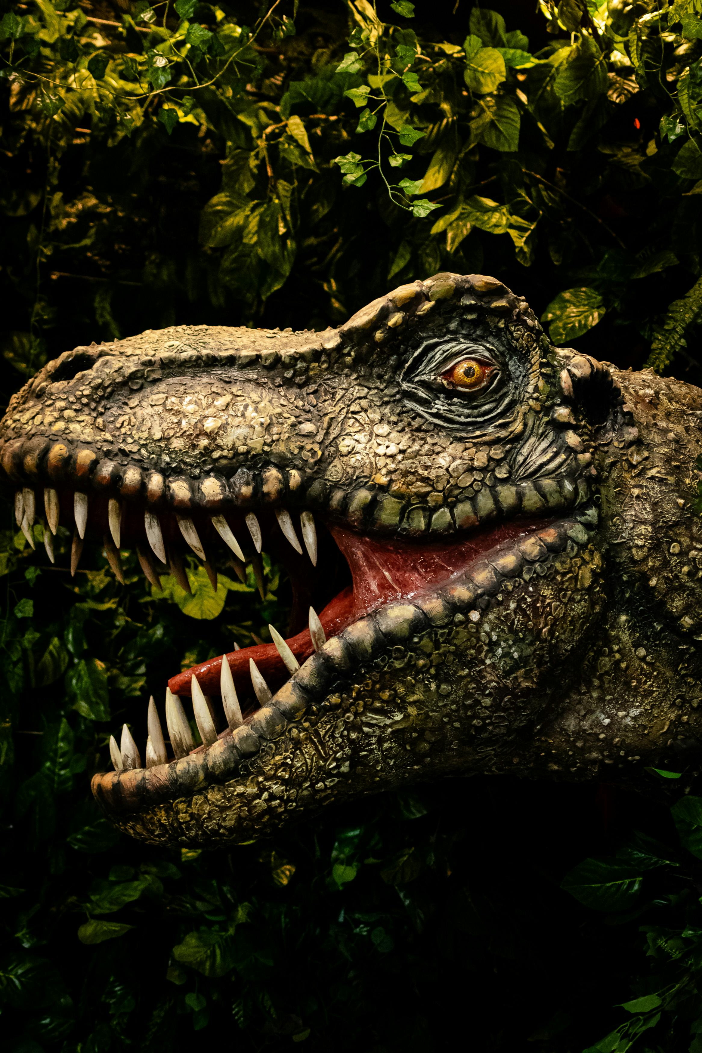 ingyenes Valósághű dinoszauruszfej nyitott állkapcsokkal, sűrű dzsungel lombozattal körülvéve. Stockfotó