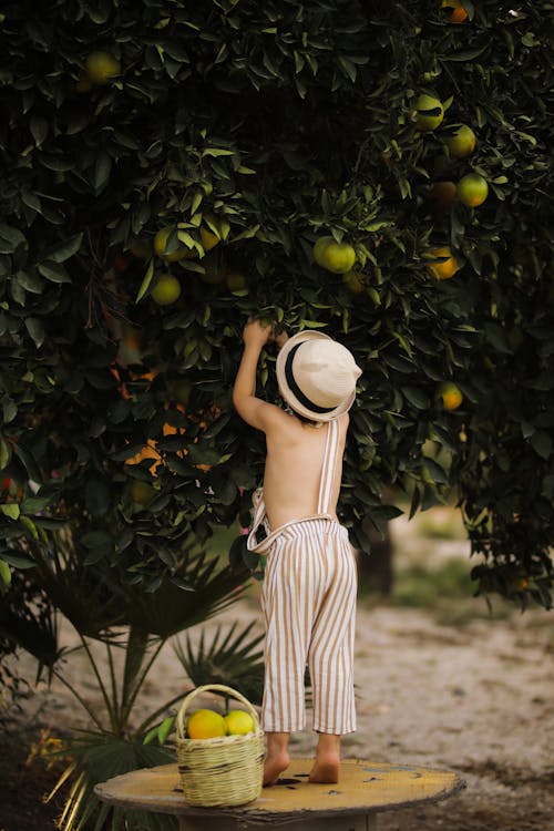 В каких случаях детям нужно сдавать анализ на СОЭ?