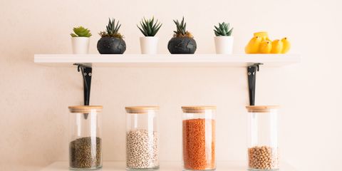 Stylish kitchen shelf displaying succulents and jars of legumes for a modern, minimalist look.