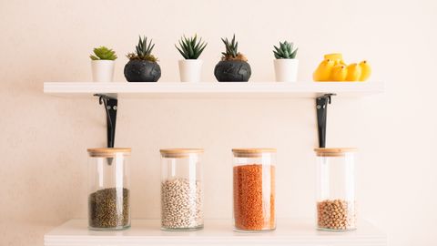 Stylish kitchen shelf displaying succulents and jars of legumes for a modern, minimalist look.
