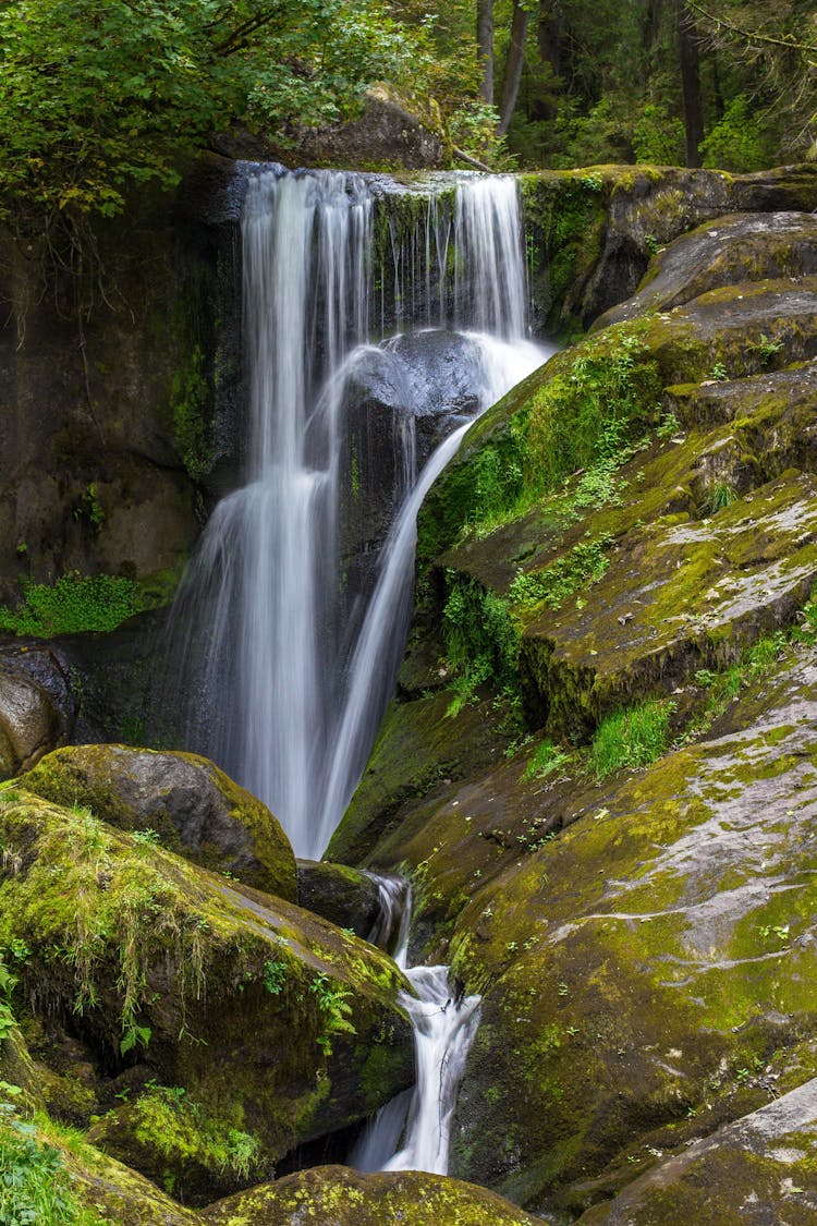 Scenic View Of Waterfall