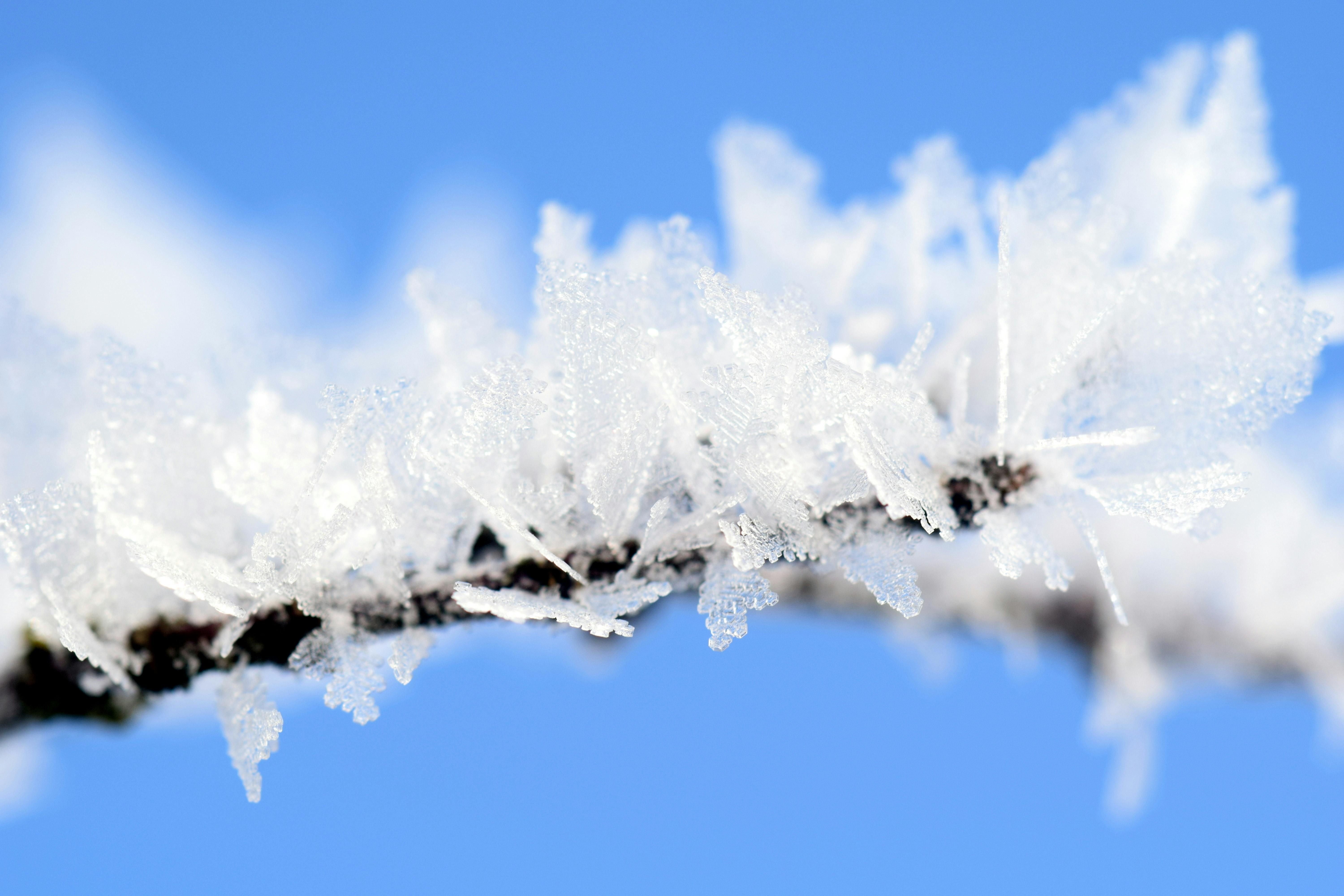 Kostenloses Foto zum Thema: durchsichtig, eis, frost