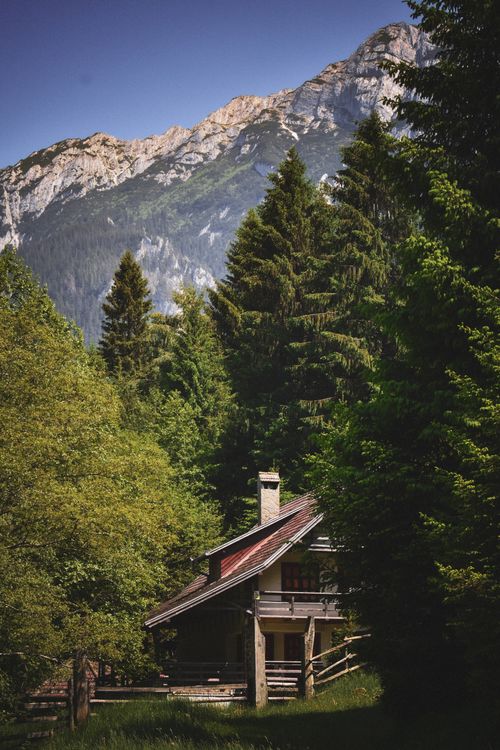 Free Rustic cabin nestled among pine trees with a mountain backdrop under clear blue sky. Stock Photo