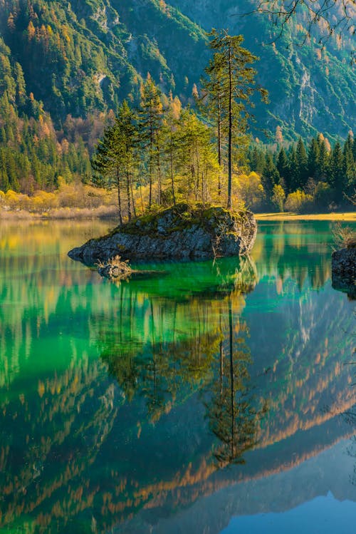 Живописный вид на озеро в лесу