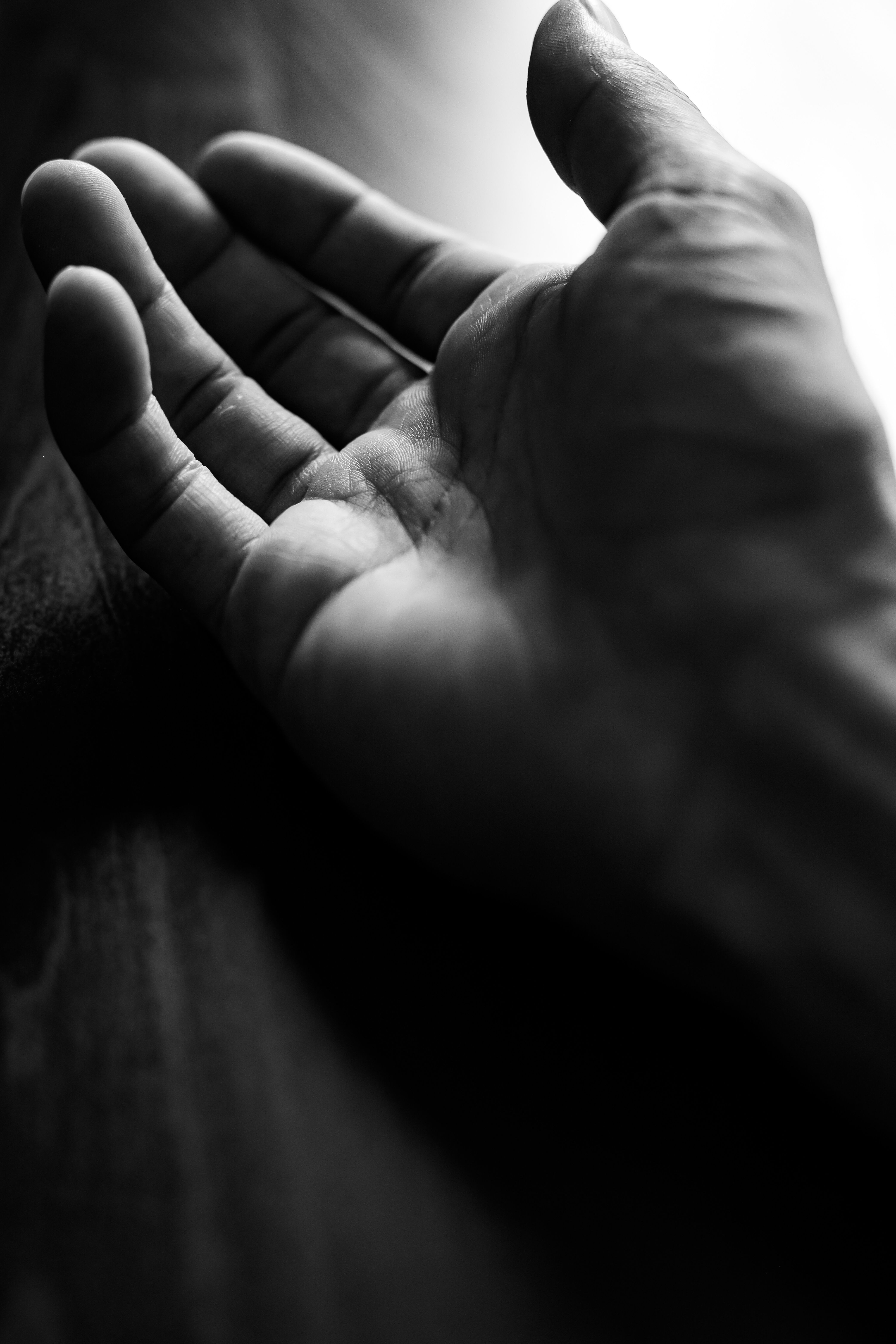 Black and White Artistic Open Hand Portrait · Free Stock Photo