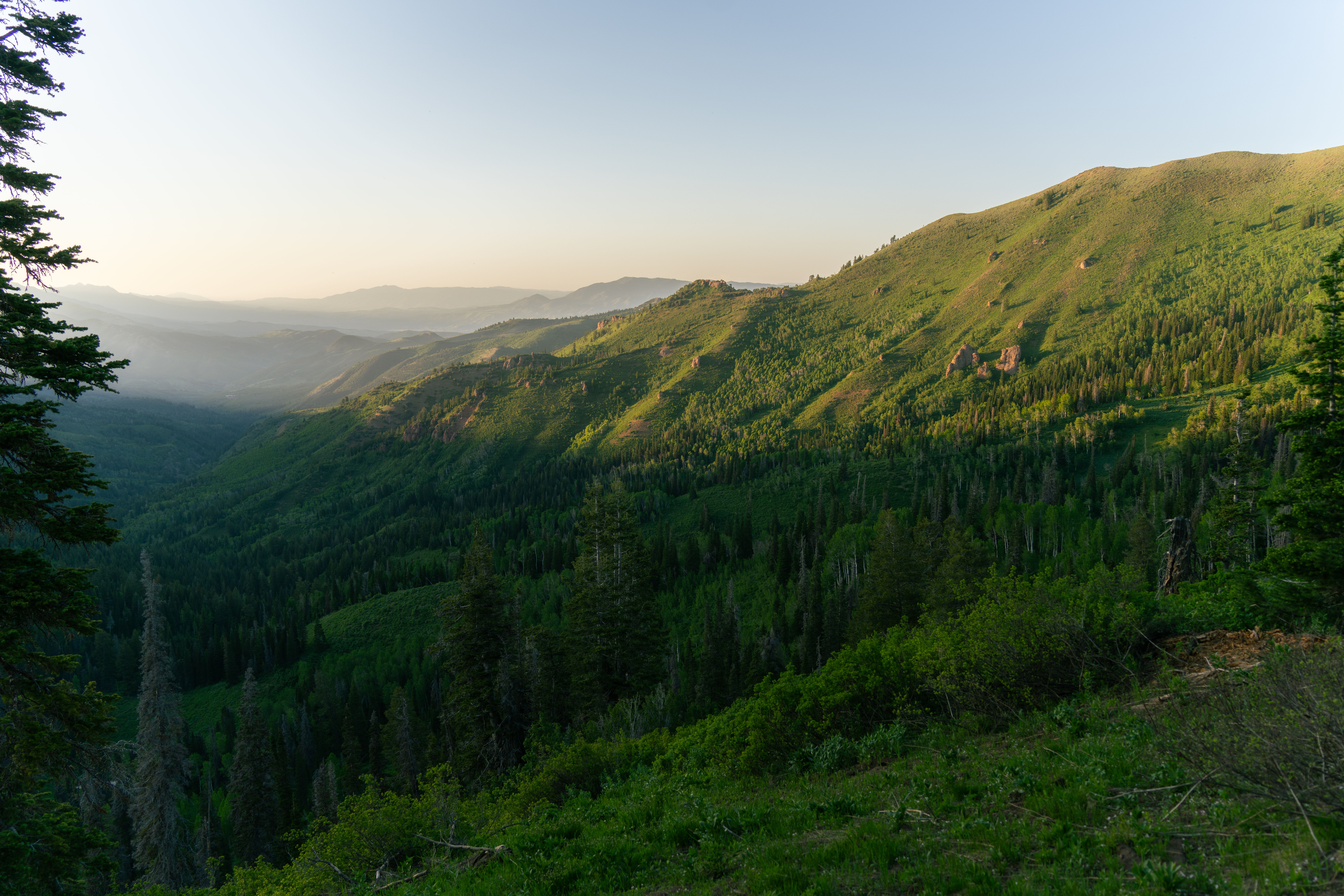Explore the stunning mountain vistas and lush greenery of the Wasatch Range in Utah, captured magnificently.