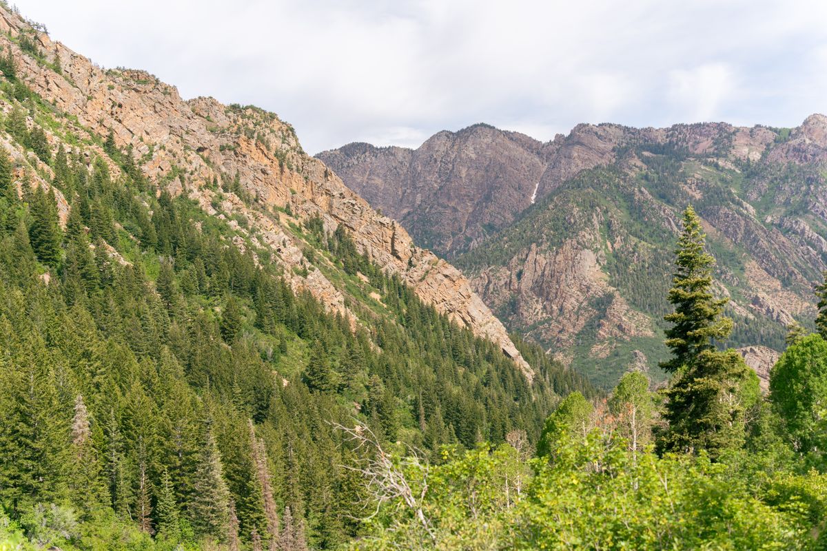 Heber Valley summer view