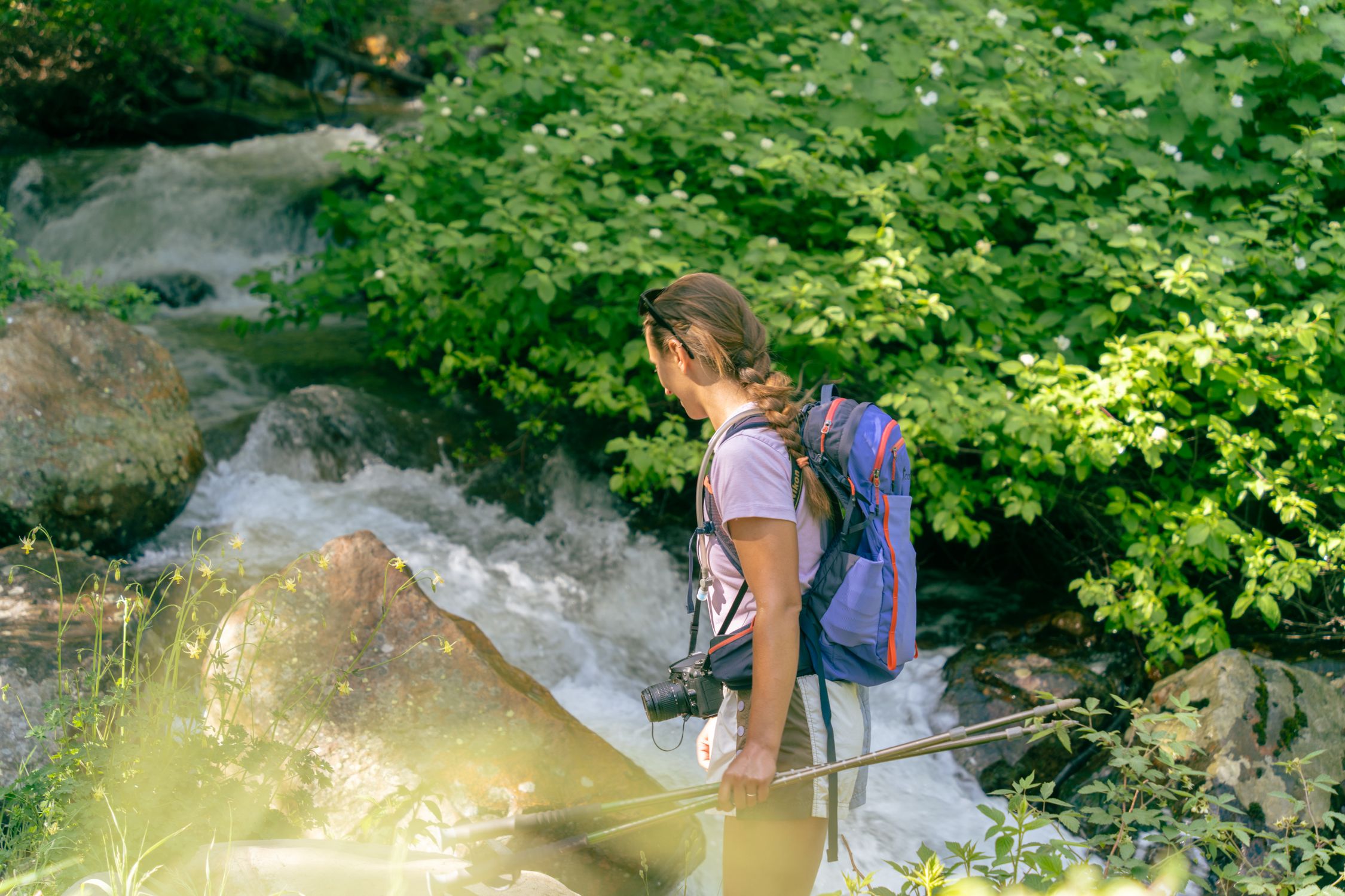 Woman exploring a mountain stream during a summer hike in Big Cottonwood Canyon Utah