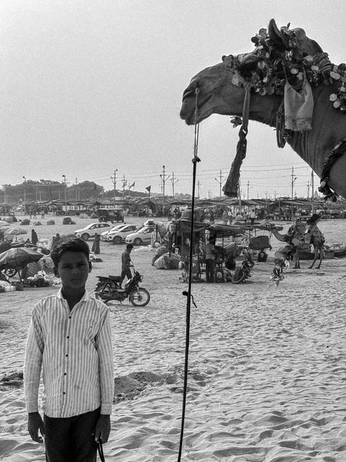 Free Nomads of The Bazaar Stock Photo