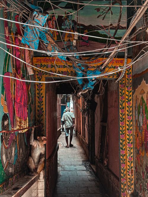 Free Life in the Lanes of Varanasi Stock Photo