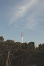 Tall Communication Tower Over Tree Line