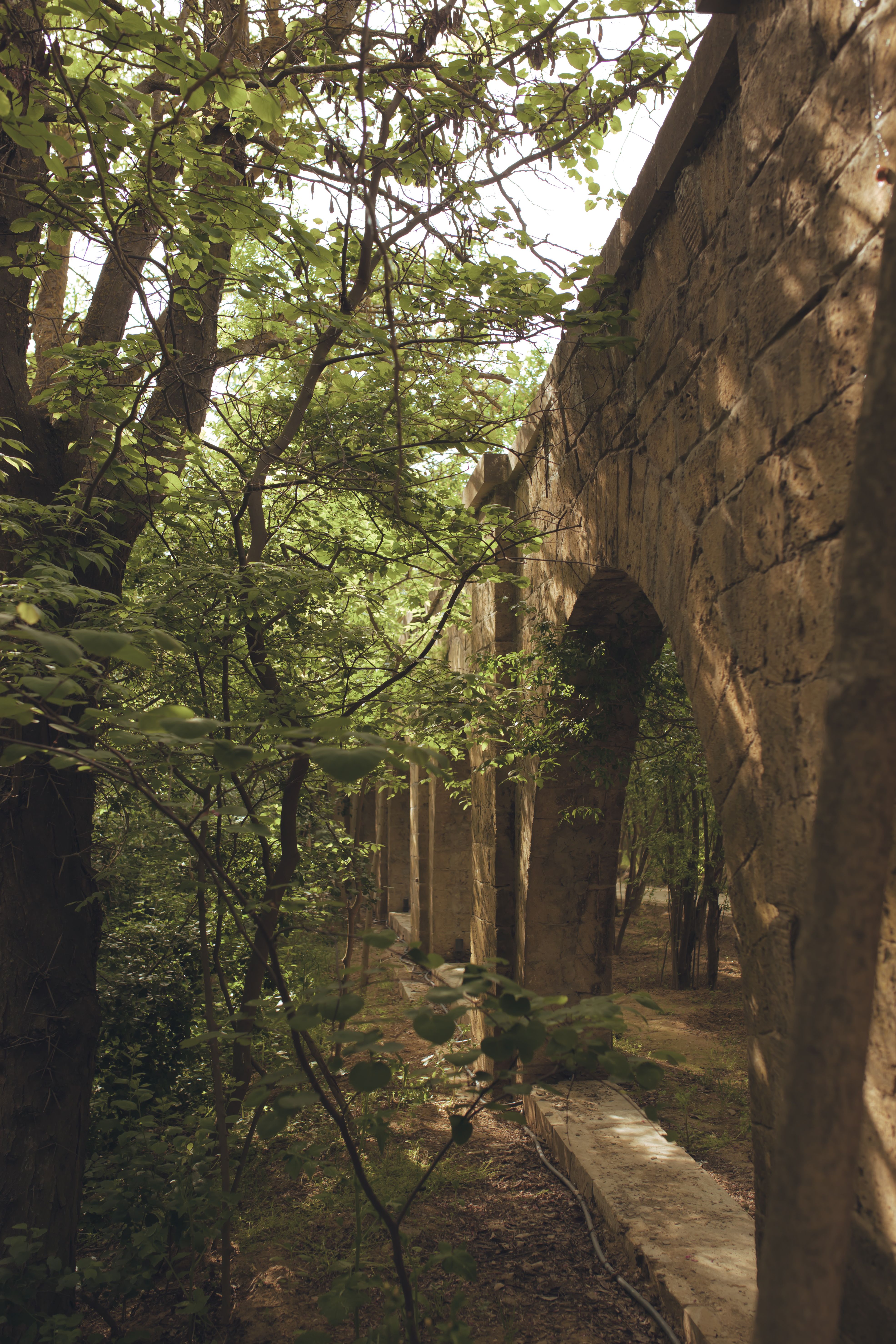 Historic Stone Aqueduct in Lush Green Forest · Free Stock Photo