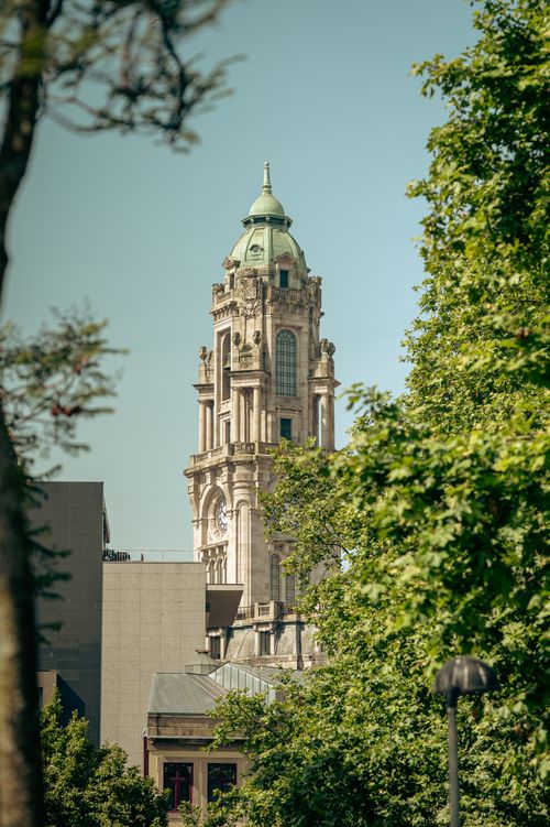 Free A picturesque view of a historic clock tower framed by lush green trees in a city setting. Stock Photo