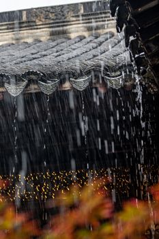 Rain cascades off a traditional Chinese roof, capturing the essence of summer.