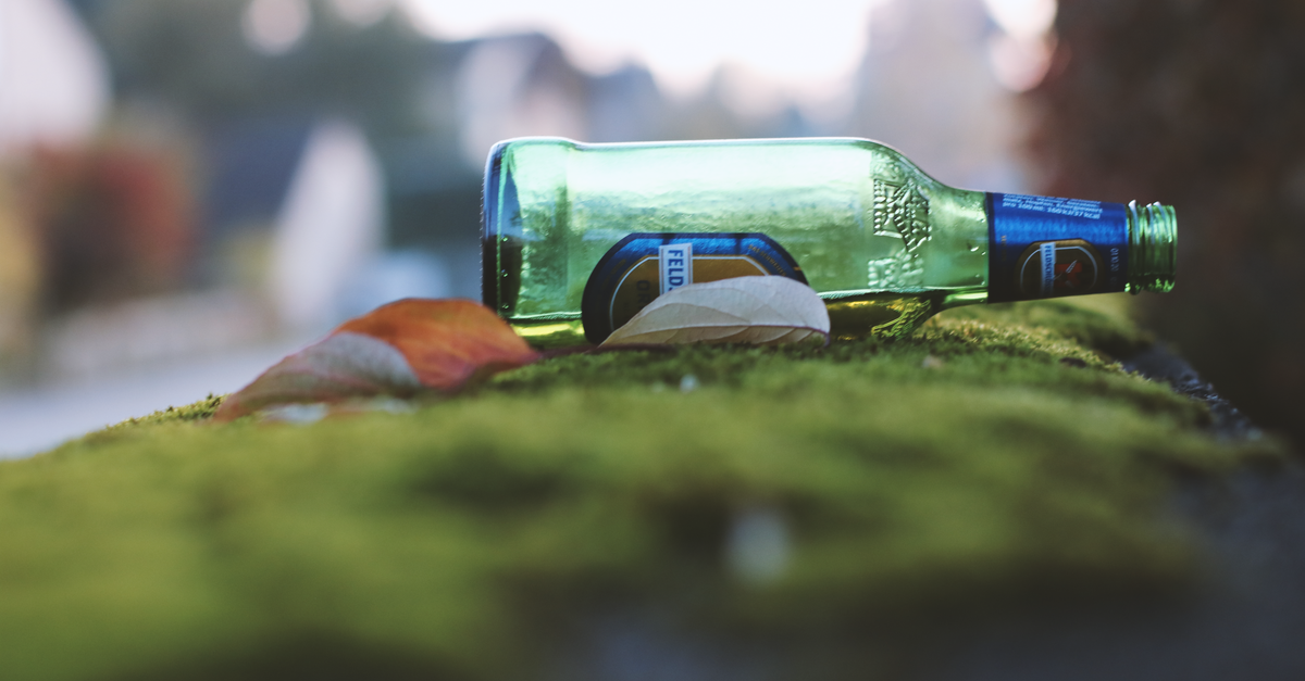 An empty beer bottle lying on a mossy surface outdoors with leaves nearby.