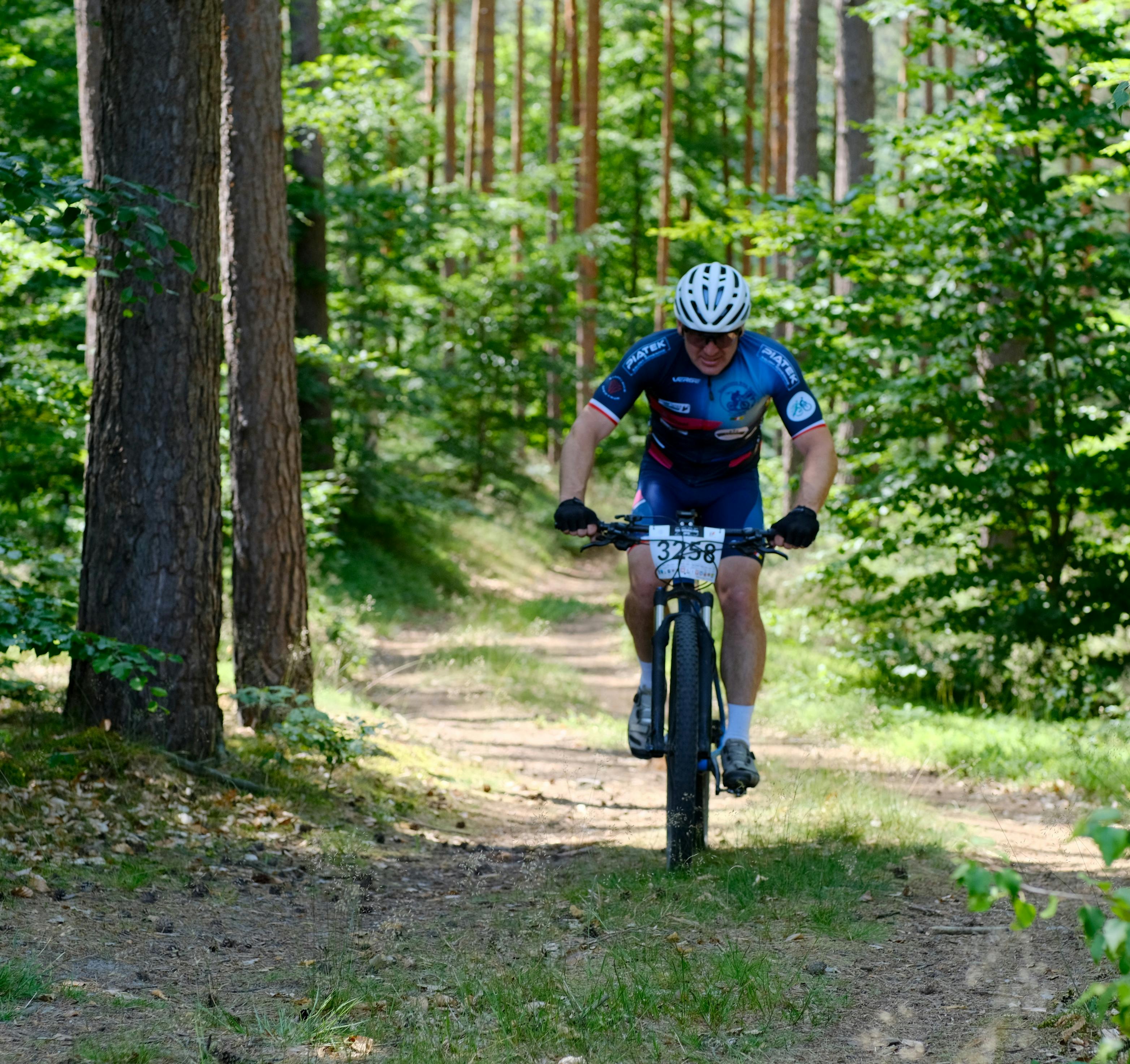 Cyclist competing in a forest bike race on a sunny day.