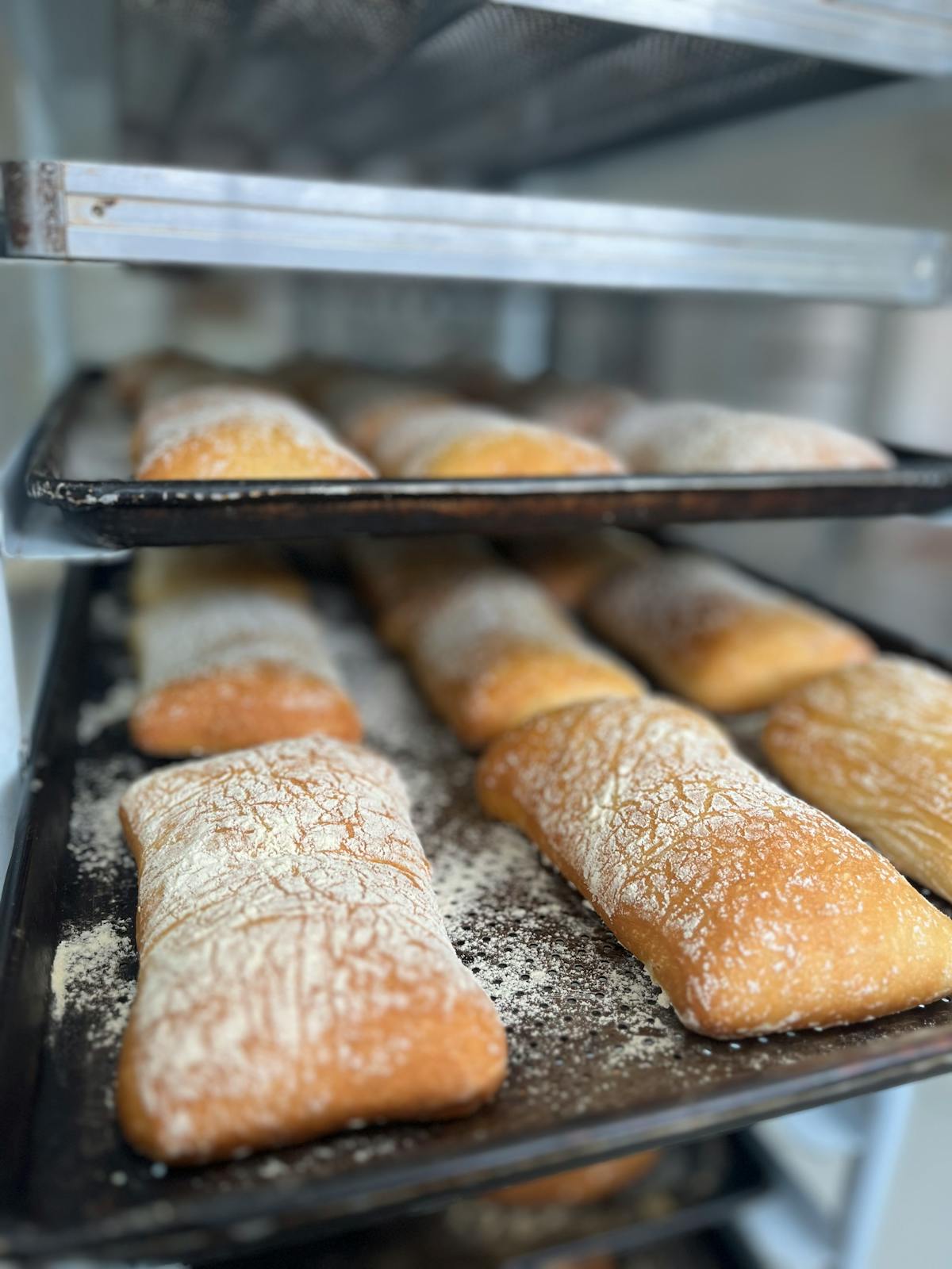 Ciabatta loaves on trays